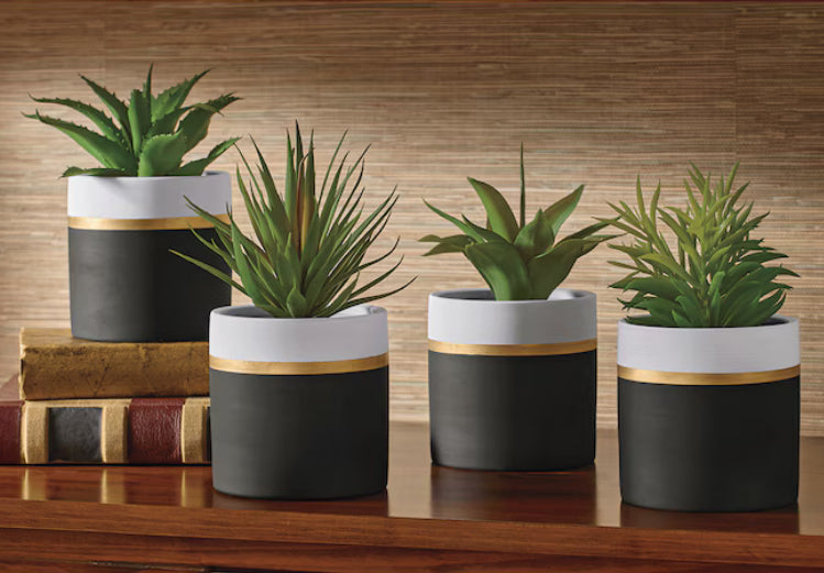 Faux Potted Succulents